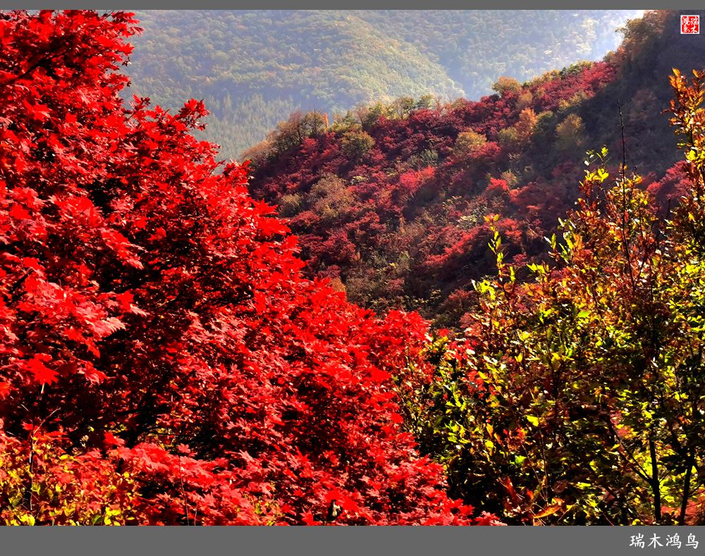 【秋游本溪】9.秋然龙道沟