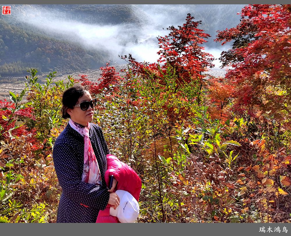 【秋游本溪】9.秋然龙道沟