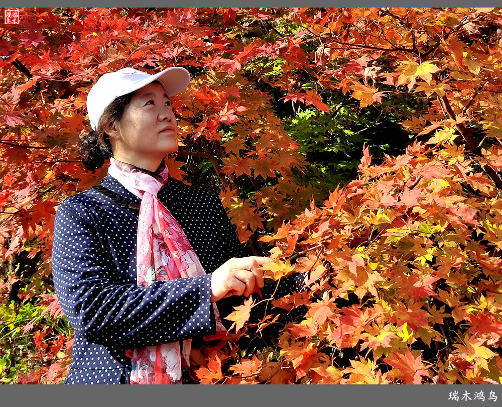 【秋游本溪】9.秋然龙道沟