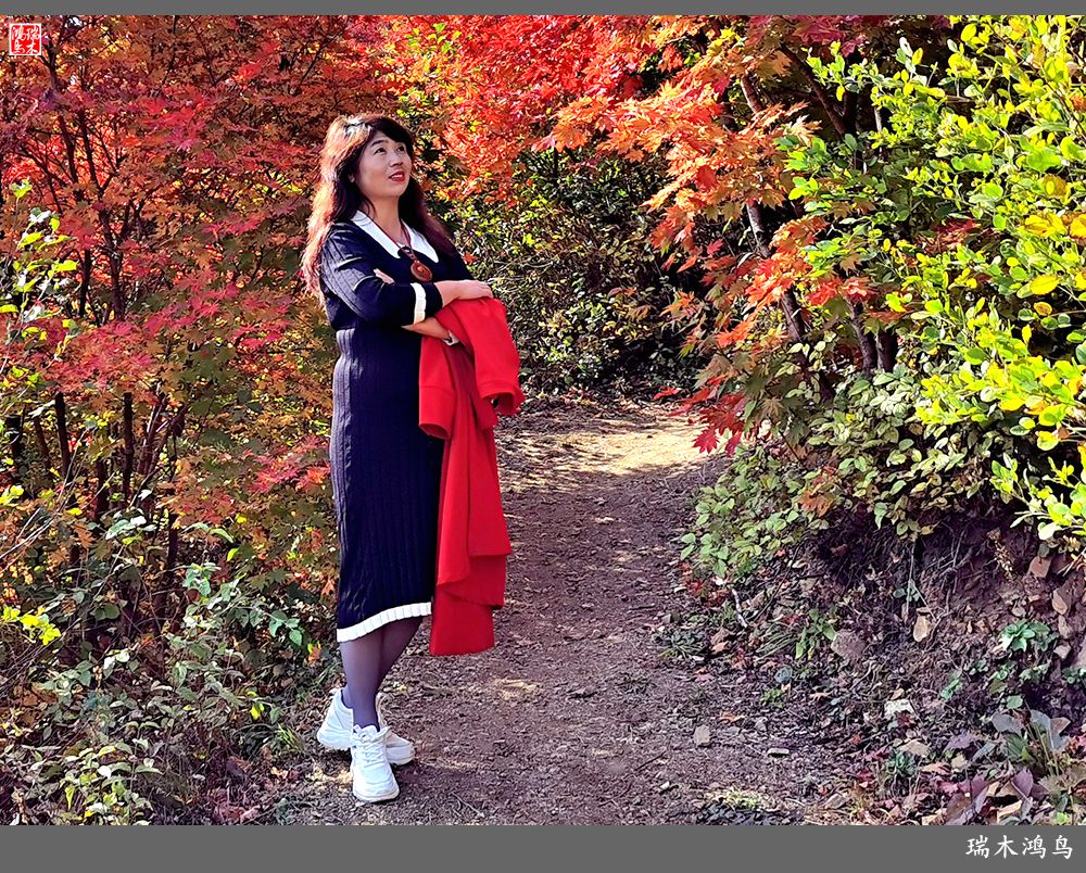 【秋游本溪】9.秋然龙道沟