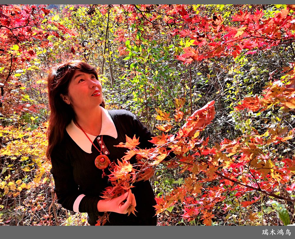 【秋游本溪】9.秋然龙道沟