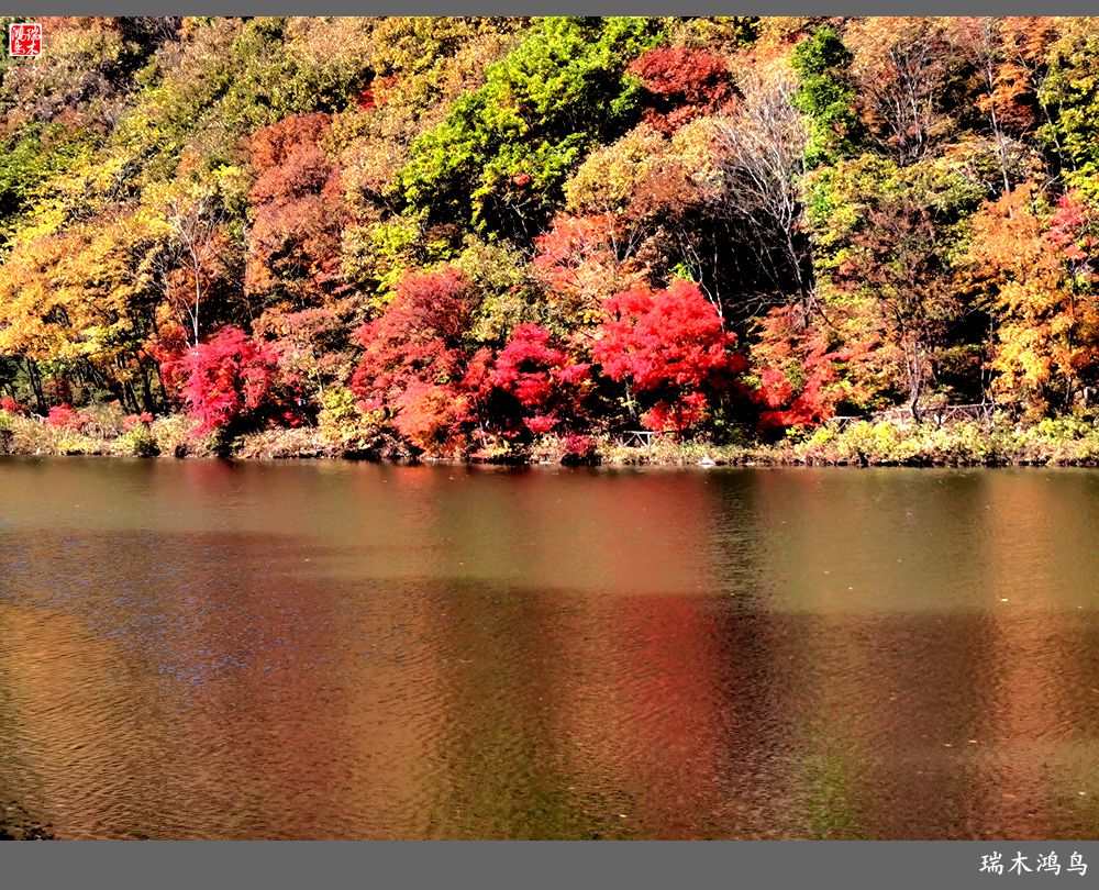 【秋游本溪】9.秋然龙道沟