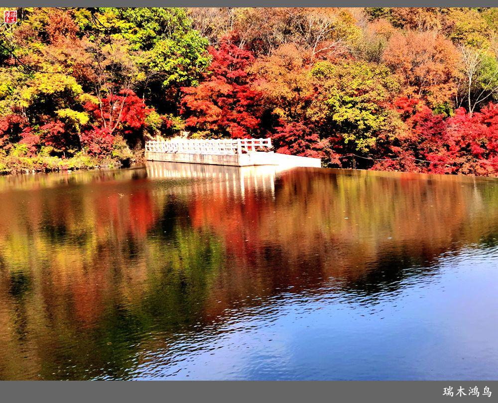 【秋游本溪】9.秋然龙道沟