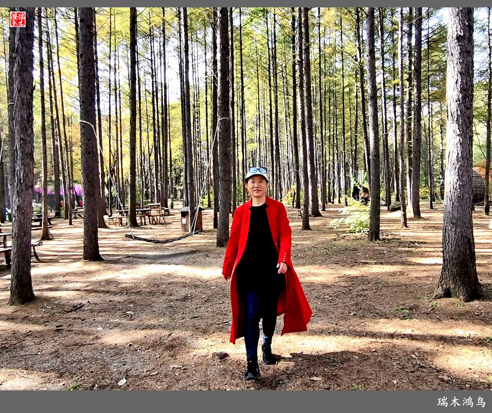 【秋游本溪】9.秋然龙道沟