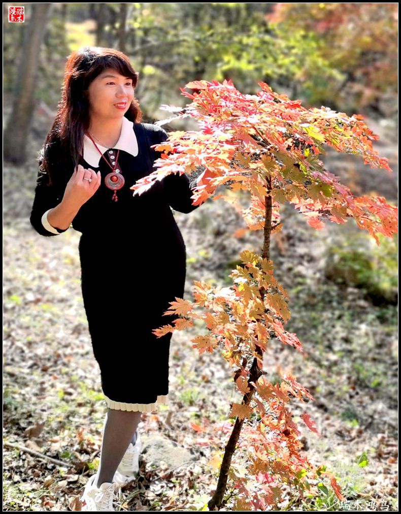 【秋游本溪】9.秋然龙道沟