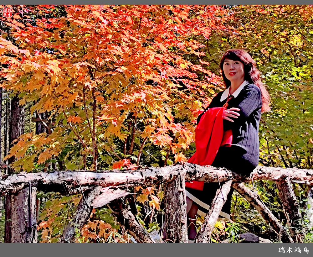 【秋游本溪】9.秋然龙道沟