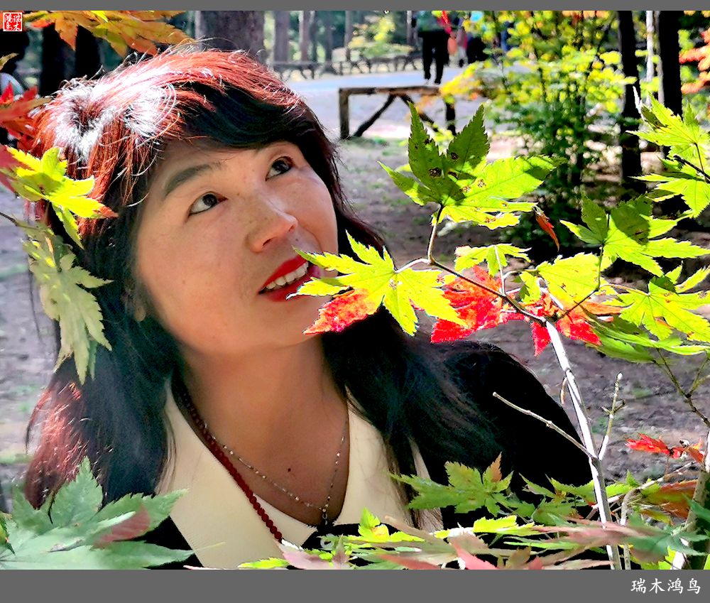 【秋游本溪】9.秋然龙道沟