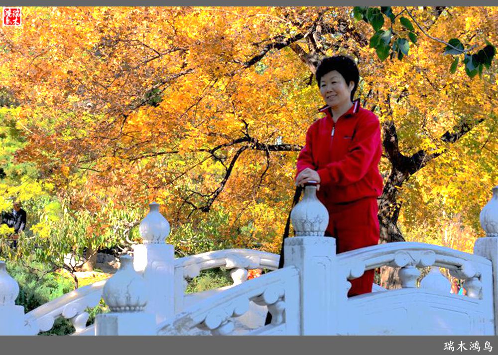 【追寻醉美秋色】62.秋日的憧憬，红叶情未了