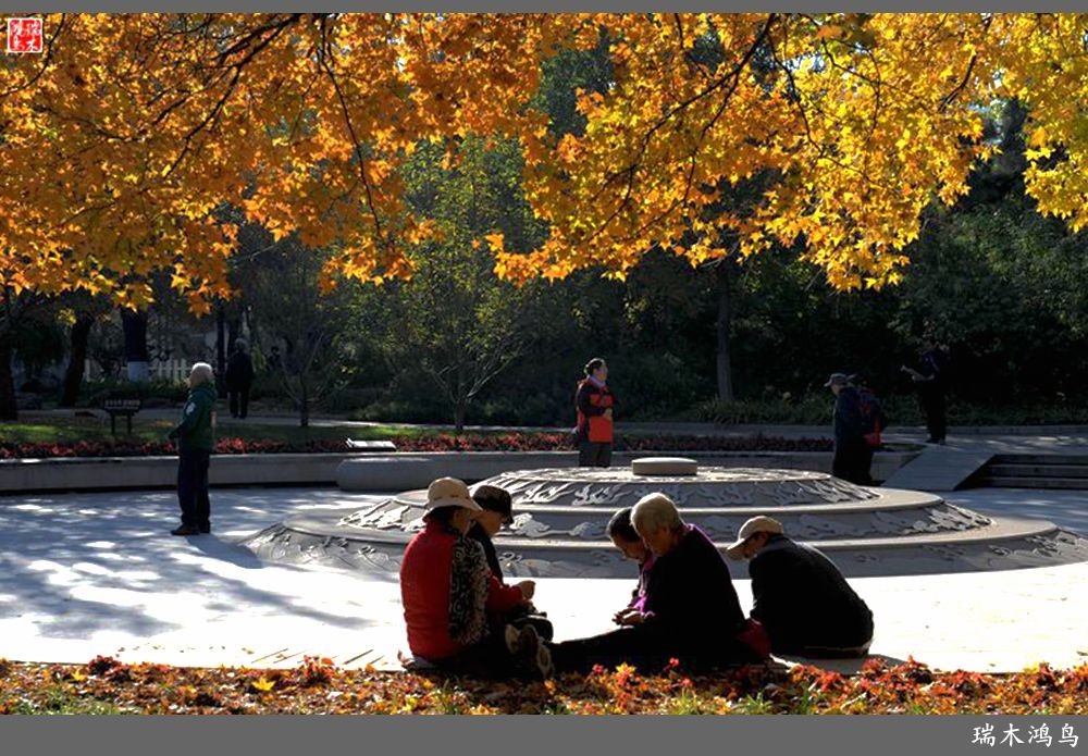 【追寻醉美秋色】62.秋日的憧憬，红叶情未了