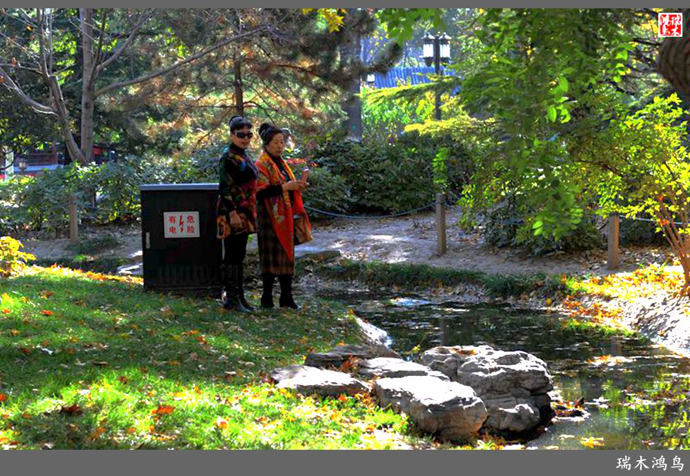 【追寻醉美秋色】62.秋日的憧憬，红叶情未了