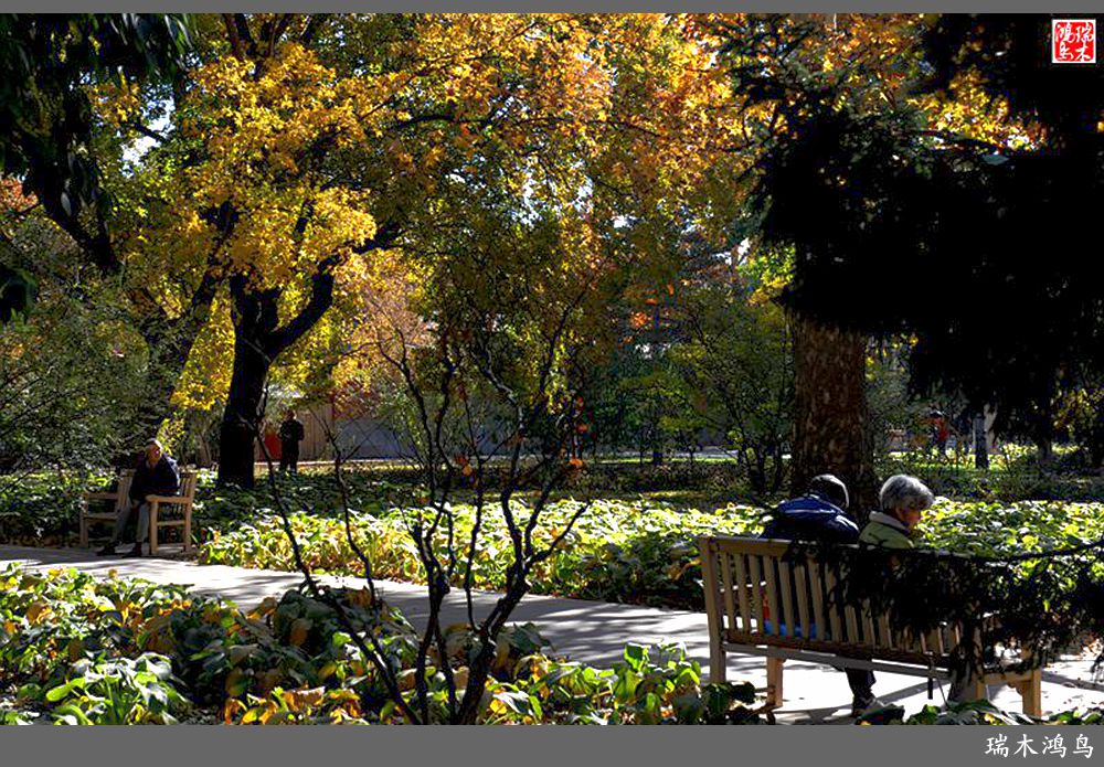 【追寻醉美秋色】62.秋日的憧憬，红叶情未了