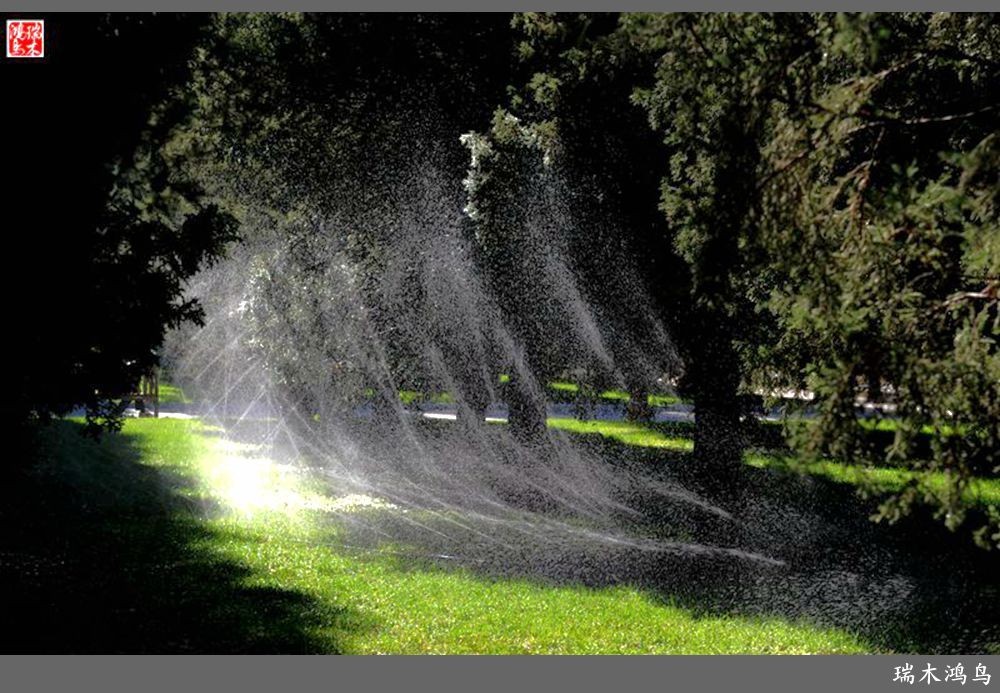 【追寻醉美秋色】62.秋日的憧憬，红叶情未了