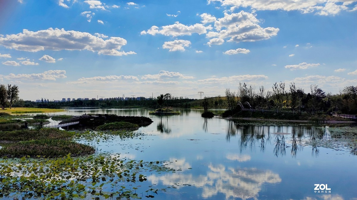 温榆河公园vivos7手机拍摄