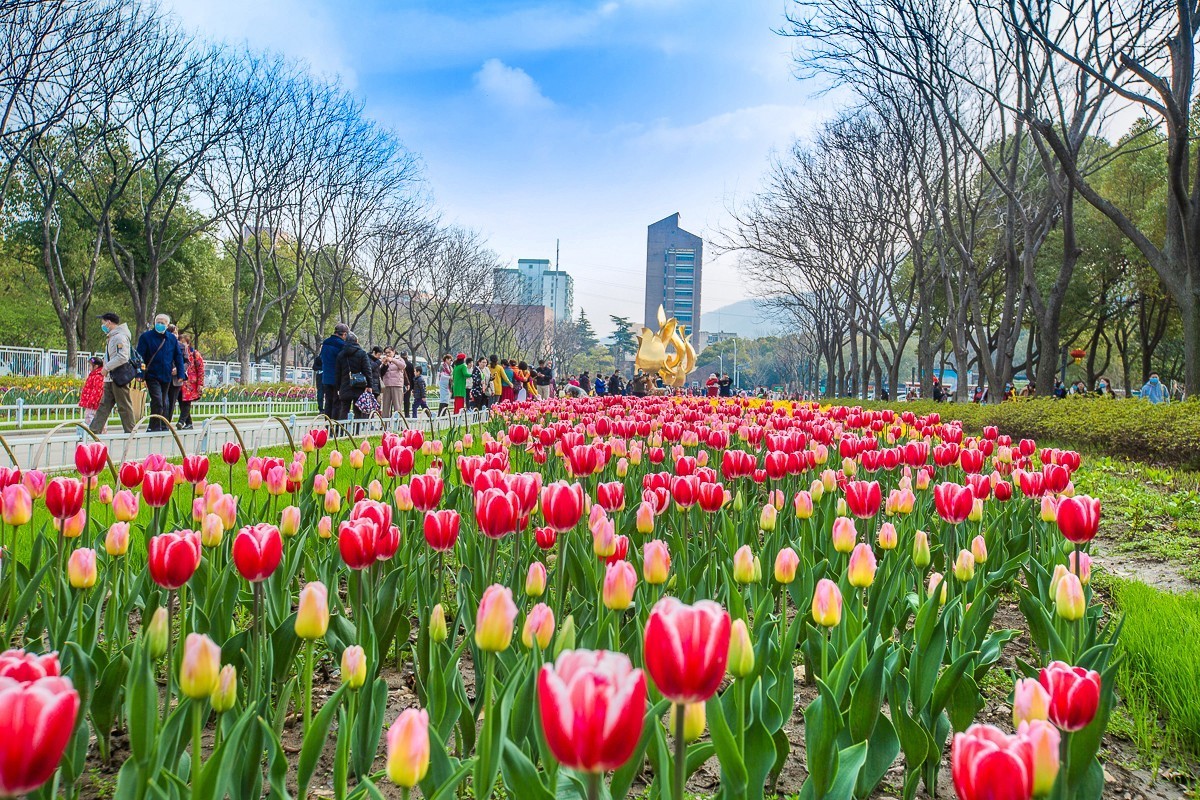 20210315南京情侣园二