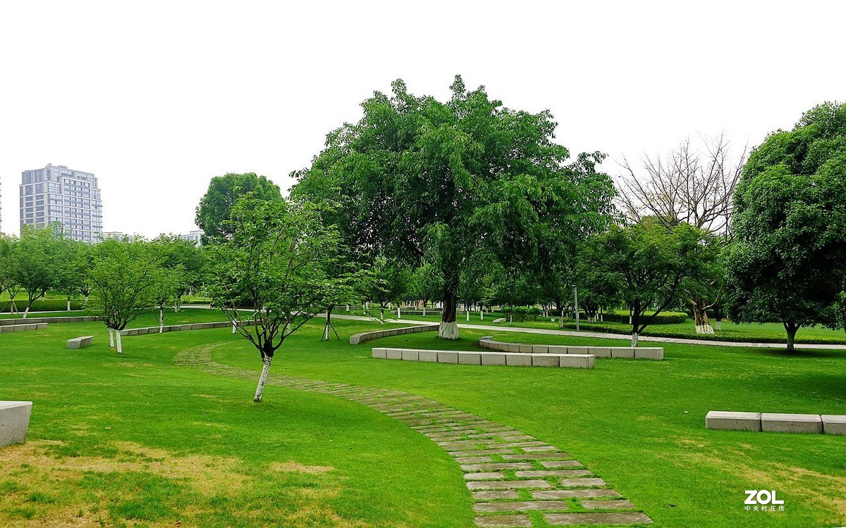 游东三省一重庆中央公园9去合肥论坛学习