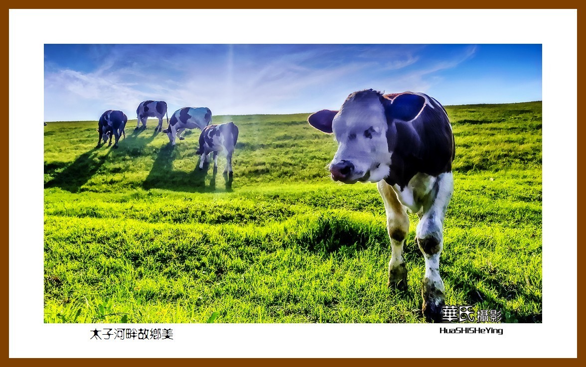我爱家乡太子河畔故乡美辽宁鞍山海城腾鳌镇官坝子