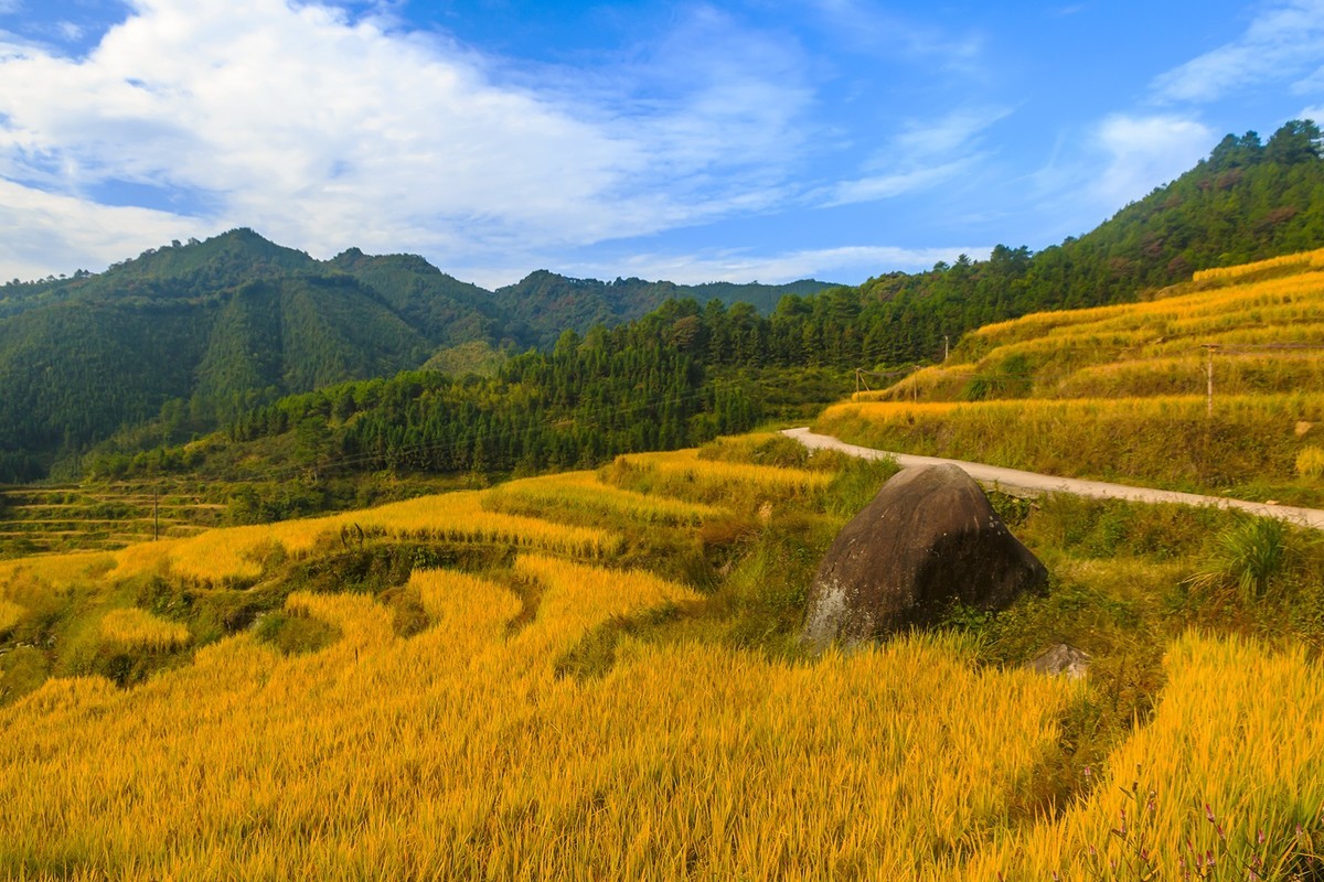 广东清远：连山 · 欧家梯田