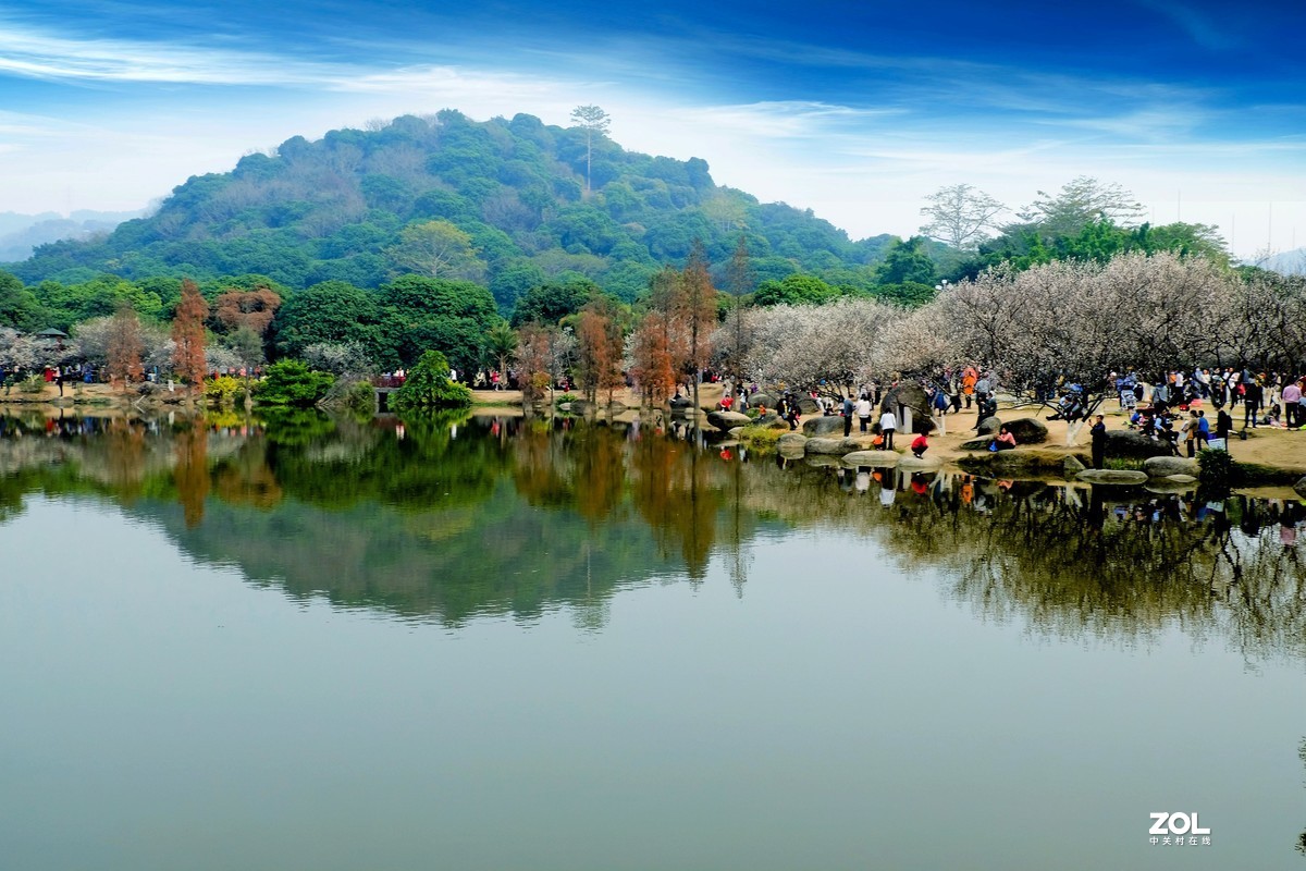 广州萝岗香雪公园图片图片
