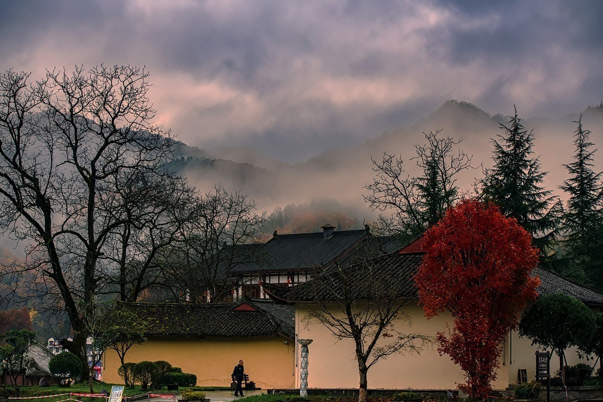 #版主坐堂#索尼大版星空(中国)2021年12月份优秀作品精选汇总