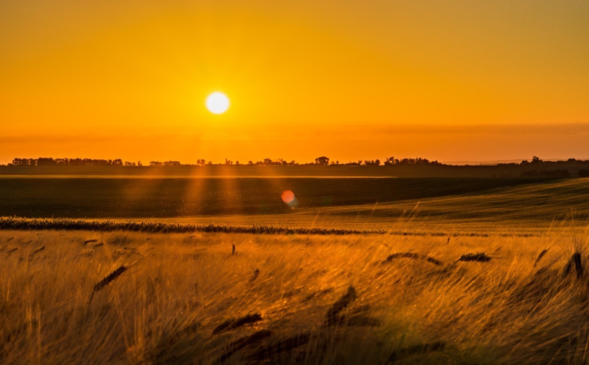 #版主坐堂#索尼大版星空(中国)2021年12月份优秀作品精选汇总