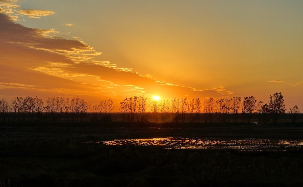 #版主坐堂#索尼大版星空(中国)2021年12月份优秀作品精选汇总