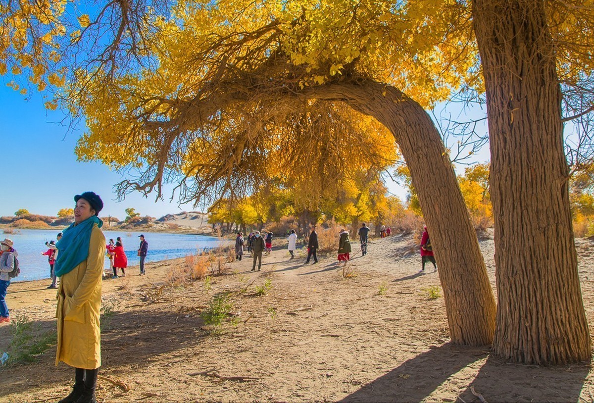 #版主坐堂#索尼大版星空(中国)2021年12月份优秀作品精选汇总