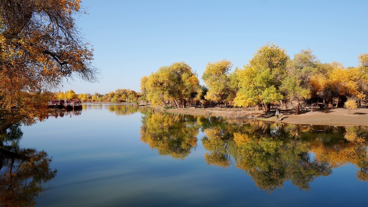 #版主坐堂#索尼大版星空(中国)2021年12月份优秀作品精选汇总