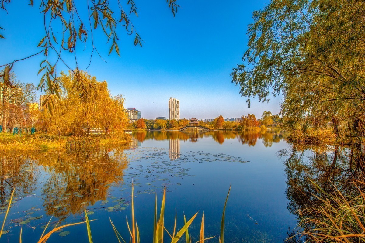 #版主坐堂#索尼大版星空(中国)2021年12月份优秀作品精选汇总