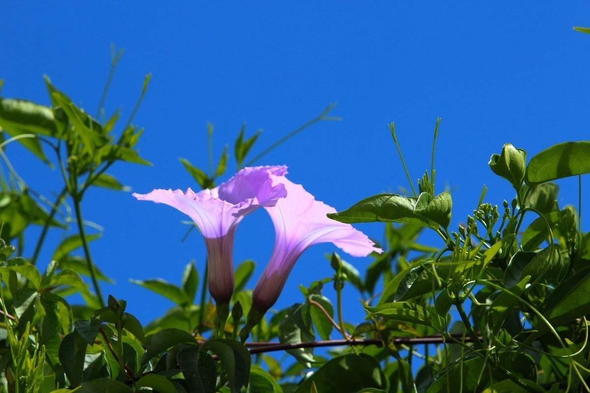 #版主坐堂#索尼大版星空(中国)2021年12月份优秀作品精选汇总