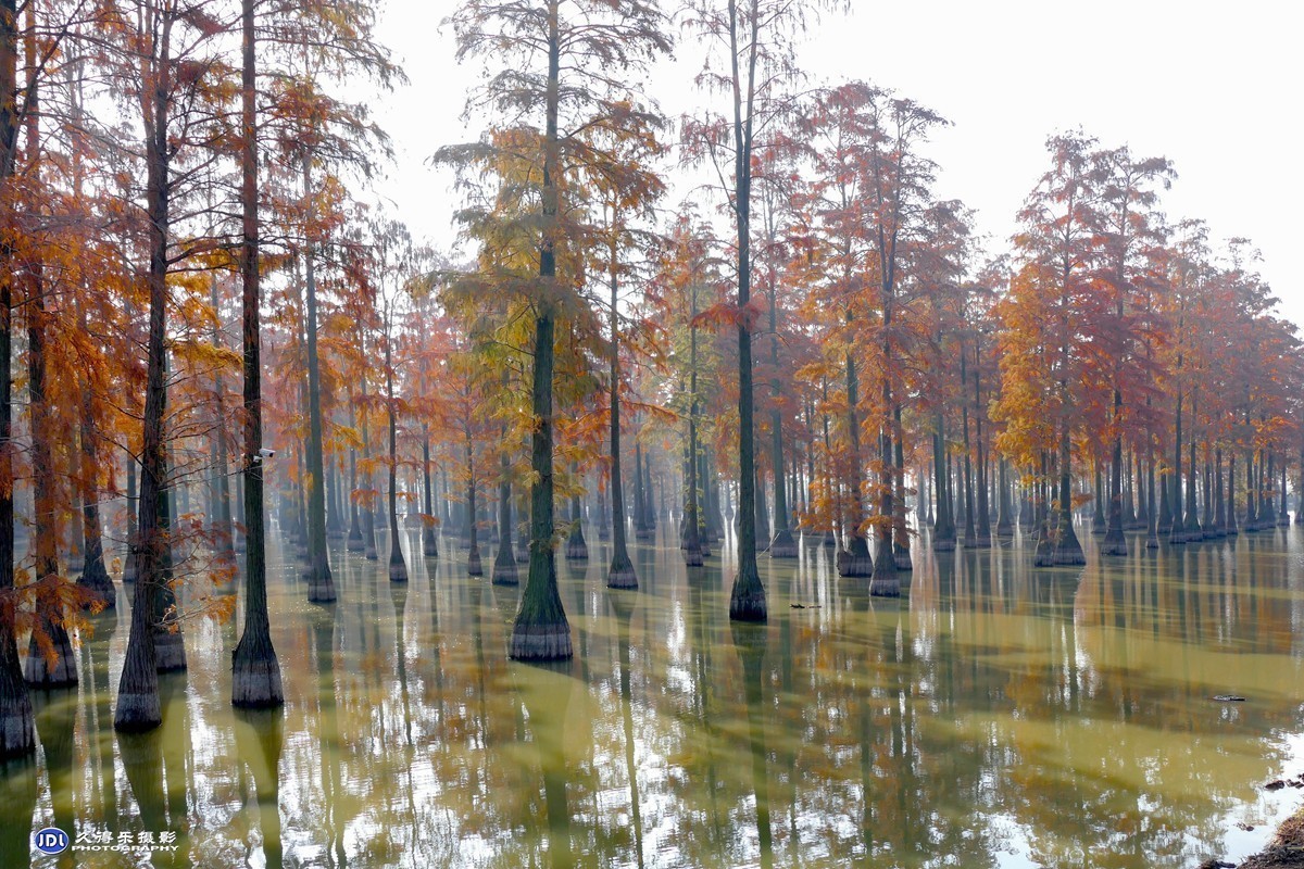 #版主坐堂#小五星空(中国)2021年12月精品荟萃