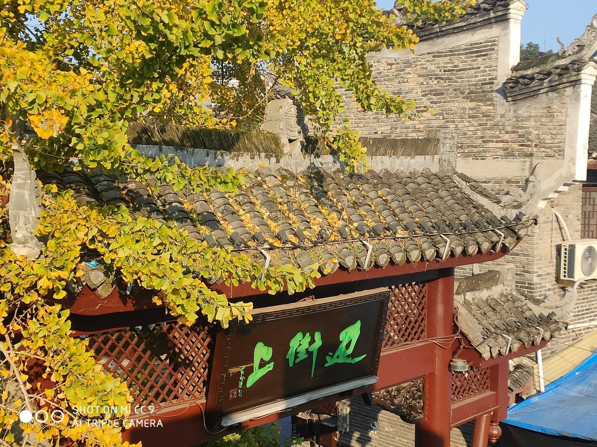 试试试试