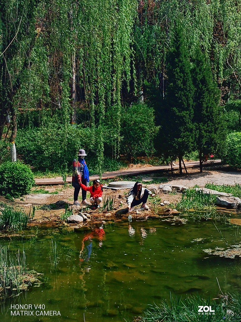 再来一组外出手机随拍的片，手机就这优势好好发挥一下！哈哈！