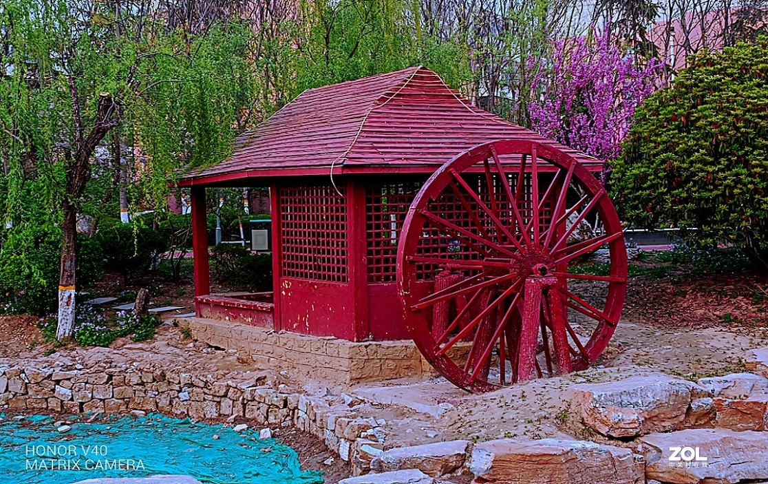 再来一组外出手机随拍的片，手机就这优势好好发挥一下！哈哈！