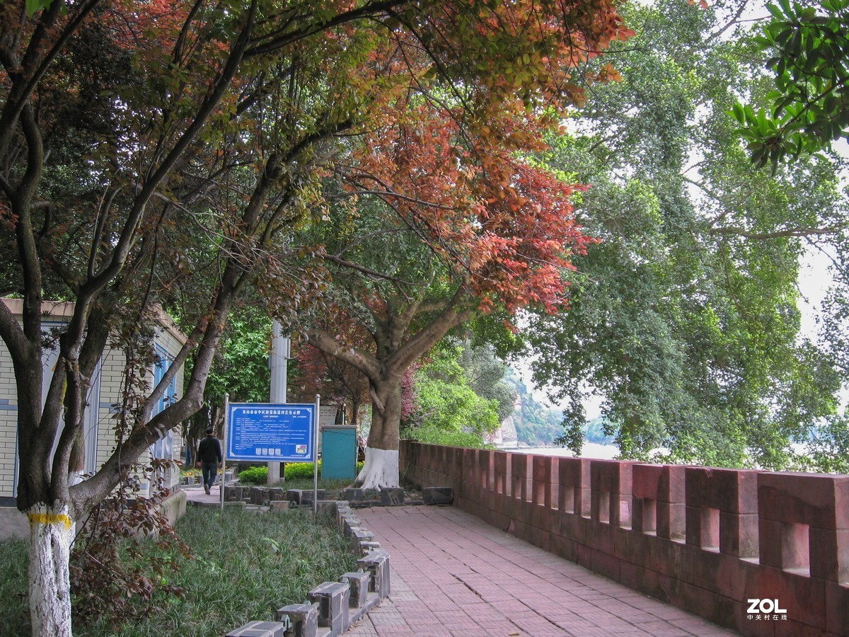 2021年再用老机佳能a560，每次开机都要设置时间，难得设置。拍摄于2021年4月 （阴天）