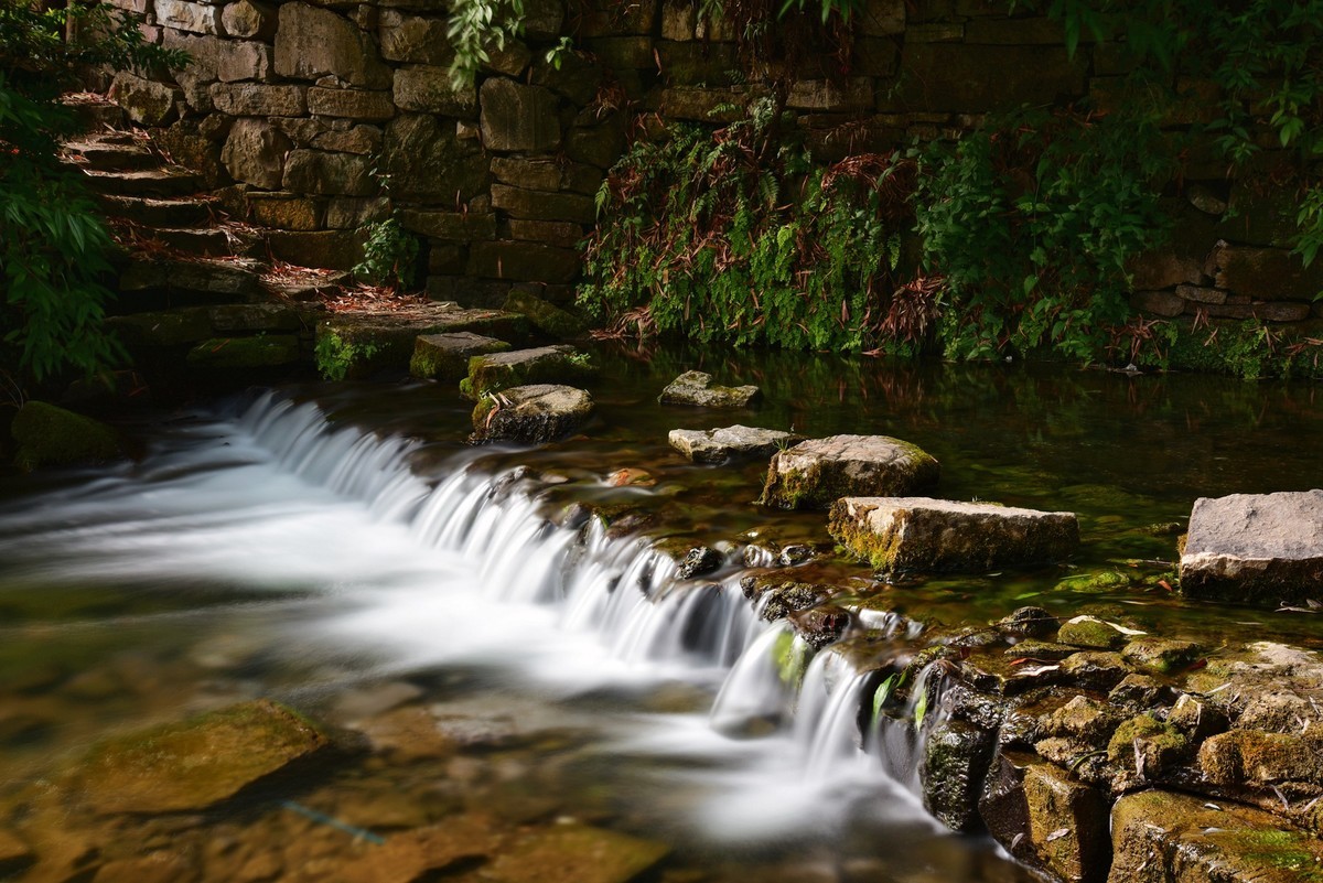 很久没拍了，构图稍显欠缺
