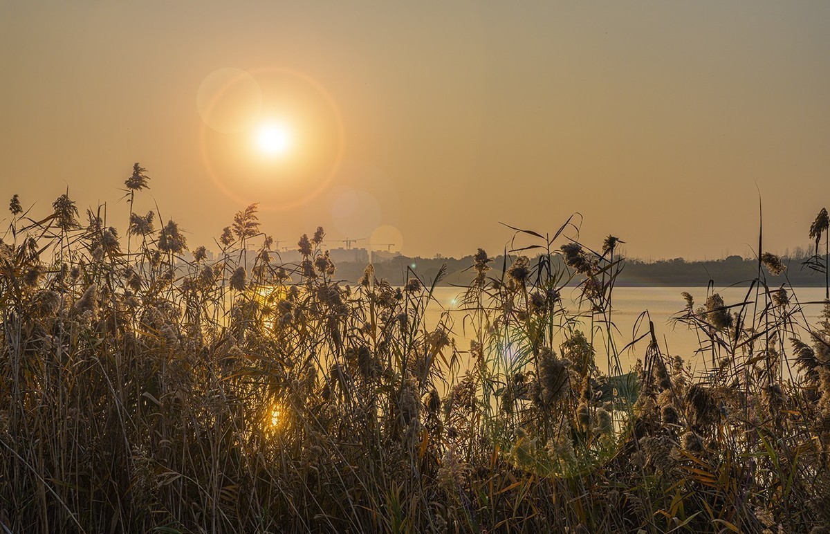 #版主坐堂#索尼大版星空(中国)2021年12月份优秀作品精选汇总