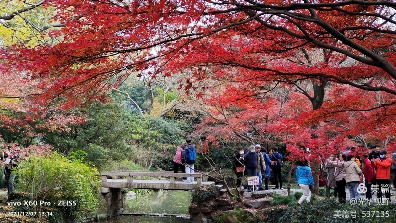 #版主坐堂#索尼大版星空(中国)2021年12月份优秀作品精选汇总