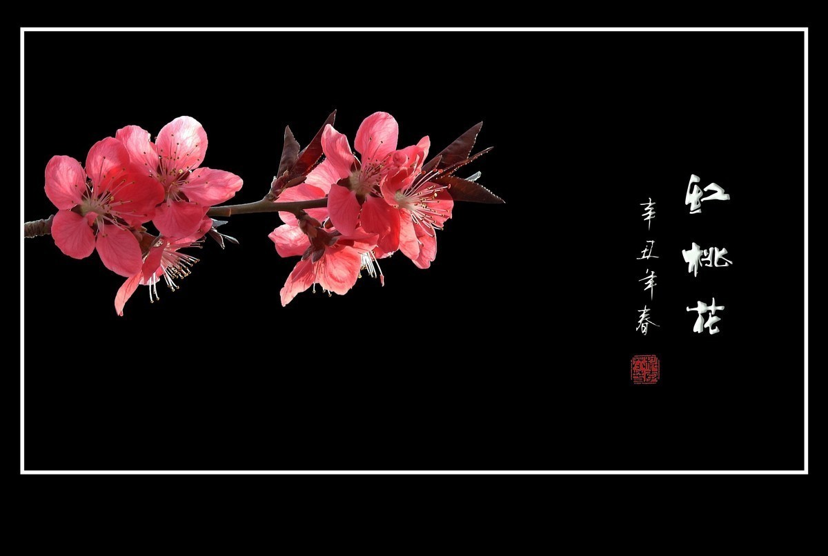 #版主坐堂#索尼大版星空(中国)2021年12月份优秀作品精选汇总