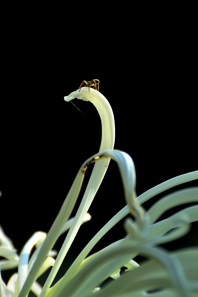 #版主坐堂#索尼大版星空(中国)2021年12月份优秀作品精选汇总