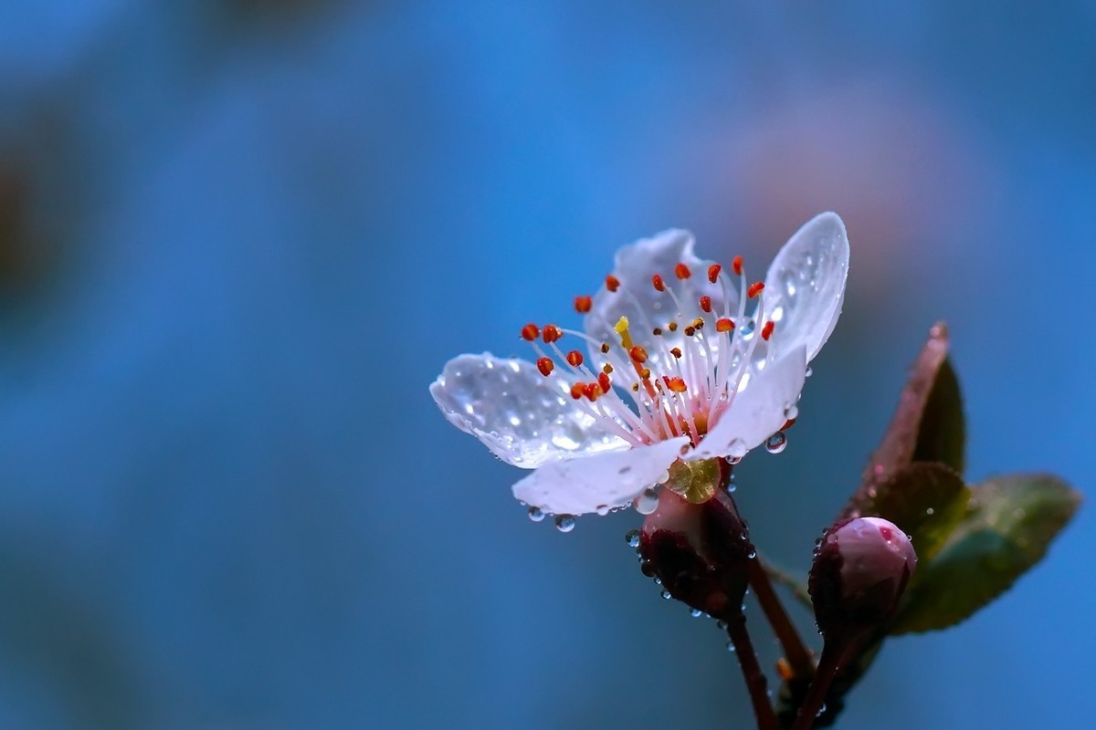 #版主坐堂#索尼大版星空(中国)2021年12月份优秀作品精选汇总