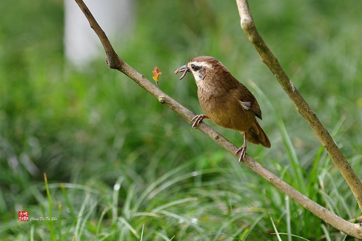 #版主坐堂#小五星空(中国)2021年12月精品荟萃