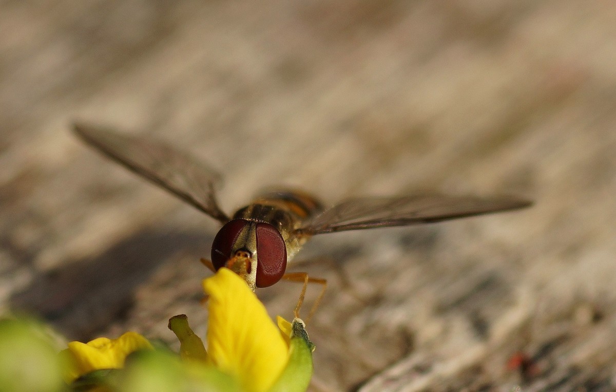 #版主坐堂#小五星空(中国)2021年12月精品荟萃