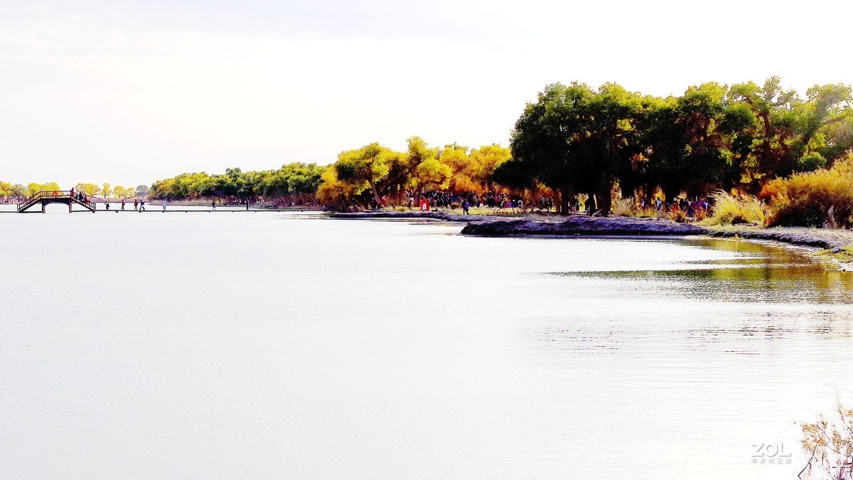 额济纳--黑城弱水胡杨林【5】