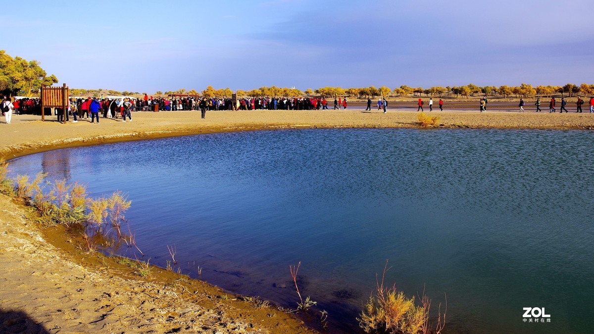 额济纳--黑城弱水胡杨林【5】