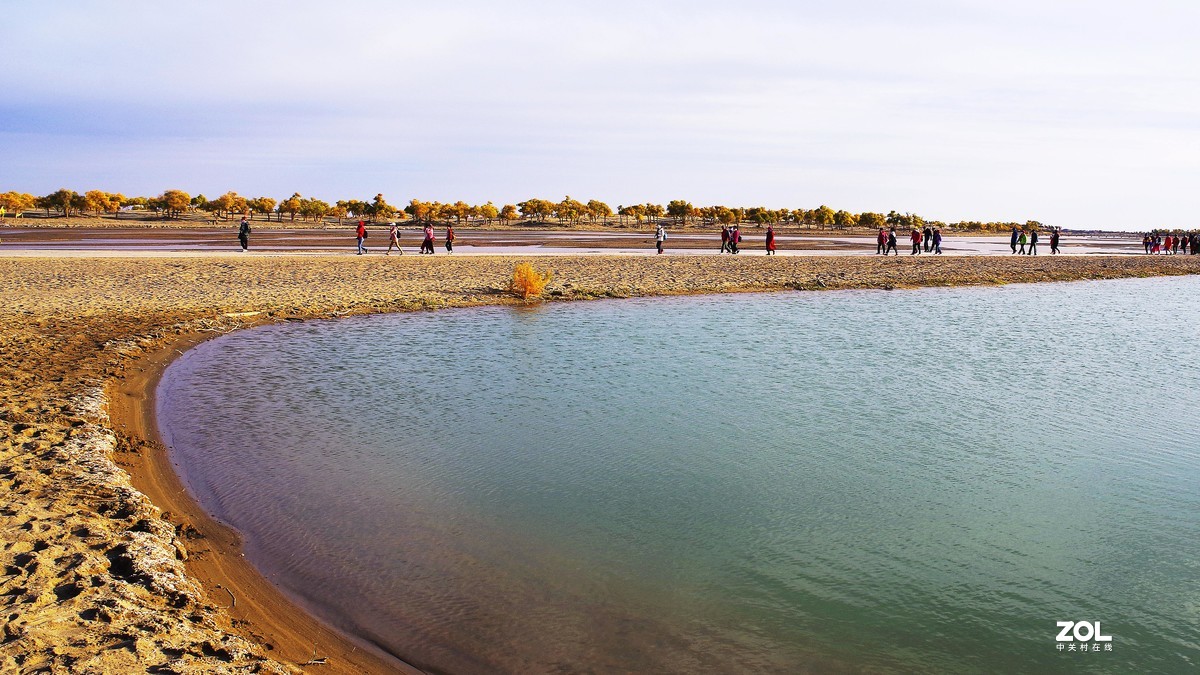 额济纳--黑城弱水胡杨林【5】