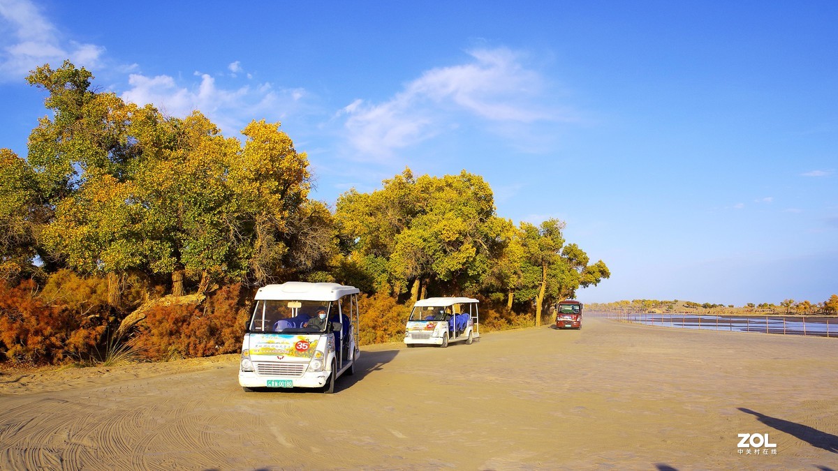 额济纳--黑城弱水胡杨林【5】