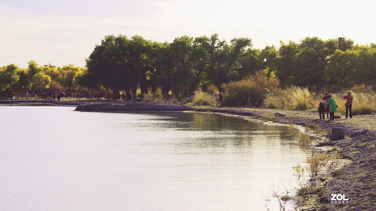 额济纳--黑城弱水胡杨林【5】
