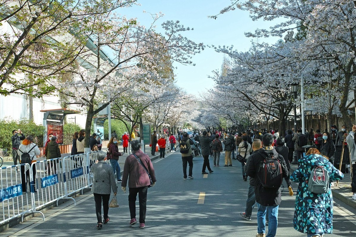台城内外