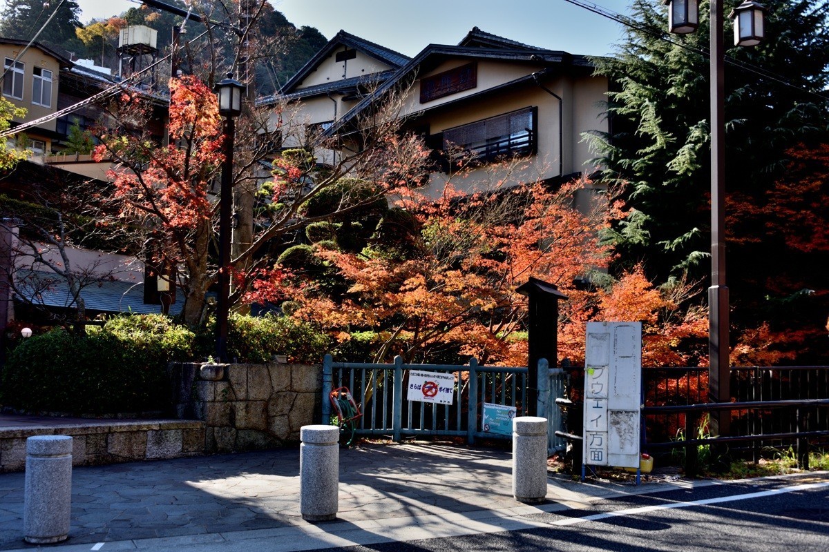 日本关西红叶狩——神户市北区有马町【4】