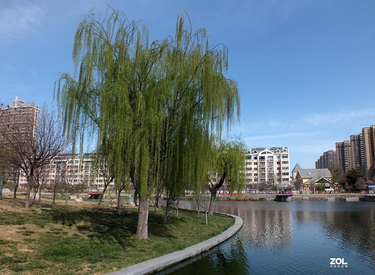 桃红柳绿伴春风--12P